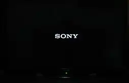 A picture of a Sony logo during turning On with the Sony BRAVIA.