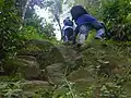 A steep footpath in the wildlife sanctuary