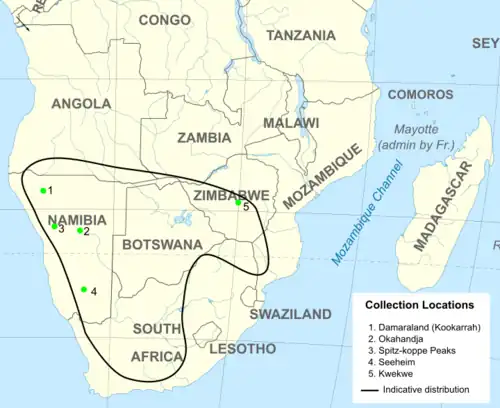 Abacetus pumilus distribution in Southern Africa