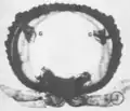 Ozadenes (G) on the inside of a millipede segment