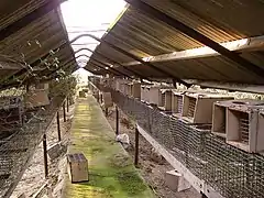Battery cages for mink reared for their fur