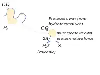 A protocell away from a hydrothermal vent must create its own proton-motive force, such as by splitting hydrogen sulphide.