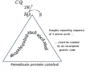 Ferredoxin catalyses the splitting of hydrogen sulphide, its earliest repeating amino acid sequence perhaps coded for by an incomplete genetic code.