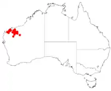 "Acacia atkinsiana" occurrence data from Australasian Virtual Herbarium