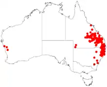 "Acacia blakei" occurrence data from Australasian Virtual Herbarium