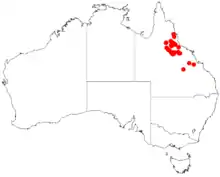 "Acacia burdekensis" occurrence data from Australasian Virtual Herbarium