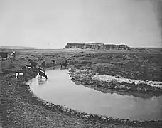View of Acoma mesa, 1899
