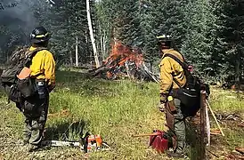Burning piles to improve control lines