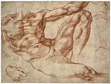 Michelangelo – Studies of a reclining male nude: Adam in the fresco The Creation of Man on the vault of the Sistine Chapel, c. 1511