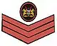 Administration Police Insignia