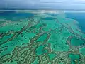 Great Barrier Reef in Australia, an endangered natural wonder.