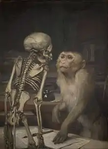 Monkey staring at monkey skeleton