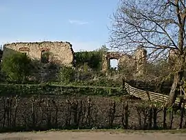 Ruins of Aghireșu castle