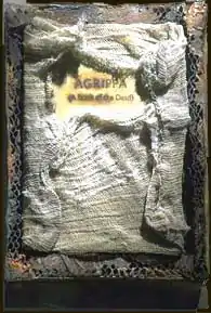 Image constructed for this work by a graphic artist. It shows a decayed book-shaped object delicately wrapped in mesh cloth.
