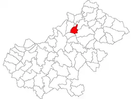 Location in Satu Mare County