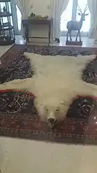 Polar bear skin in one of the rooms