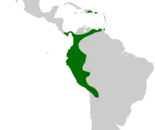 Aiphanes occurs in northwestern South America, south into Bolivia and east to northeastern Venezuela, in Panama and in Trinidad, Puerto Rico and eastern Hispaniola.