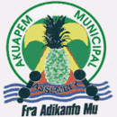 Official logo of Nsawam