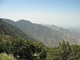 Jabal Sawda (3,000 m or 9,800 ft) located in the 'Asir subrange of the Sarat Mountains