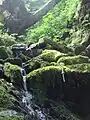 A mountain stream on Raspberry Island