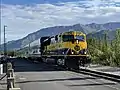 Alaska Railroad passenger train at the Denali National Park depot.
