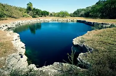 One of the many smaller cenotes, or sinkholes, in the Zacatón system the near Aldama, Tamaulipas (2013)