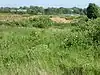 Aldeburgh Brick Pit