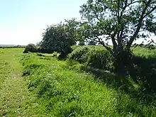 Aldeburgh Hall Pit