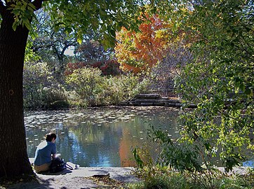 Pool in Fall 2010