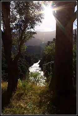 Tauherenikau River