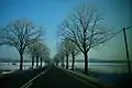 Country road as an avenue in Germany