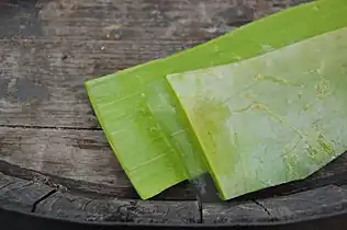 Leaf and inner gel