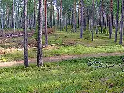 Bezhanitskaya Upland in Bezhanitsky District