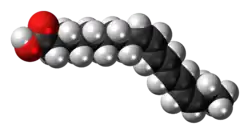 Space-filling model of the α-parinaric acid molecule