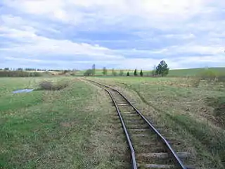 Narrow-gauge railway