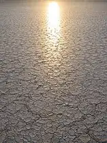 The cracked playa surface of the Alvord Desert