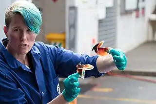#657 (16/8/2018)Teuthologist Kat Bolstad, who led the dissection, with the extracted lower and upper beaks