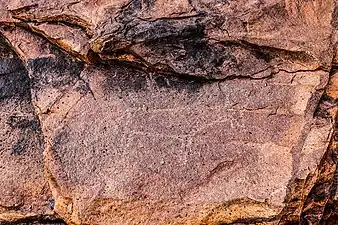 Rock engraving of a bovine