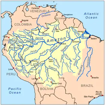 The basin of the Amazon River is a system made up of many tributary streams. The streams shown on the map besides the Amazon are tributaries of the Amazon.