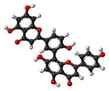 Ball-and-stick model of amentoflavone