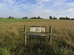 The Nile Clumps (which are on private land) seen from an information board on a public bridleway