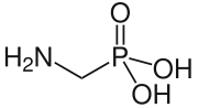 Aminomethylphosphonic acid, the simplest possible aminophosphonate.