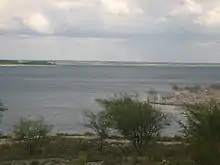 An image of a lake, surrounded by shrubs