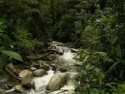 Anchicayá River