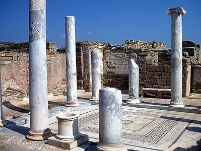The peristyle impluvium with columns in the Ionic style and floor mosaic
