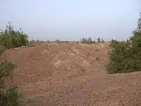Ancient mound at Wahi Pandhi (SD-14), a cultural heritage monument in Sindh