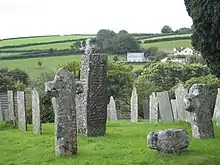 Fig. h8: ancient crosses in St Neot churchyard
