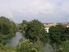 The river in Ancône