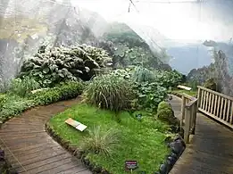 Antarctic Garden, Hobart Botanical Garden, Tasmania, Australia