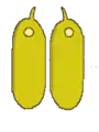 Poricidal dehiscence of a pair of anthers
